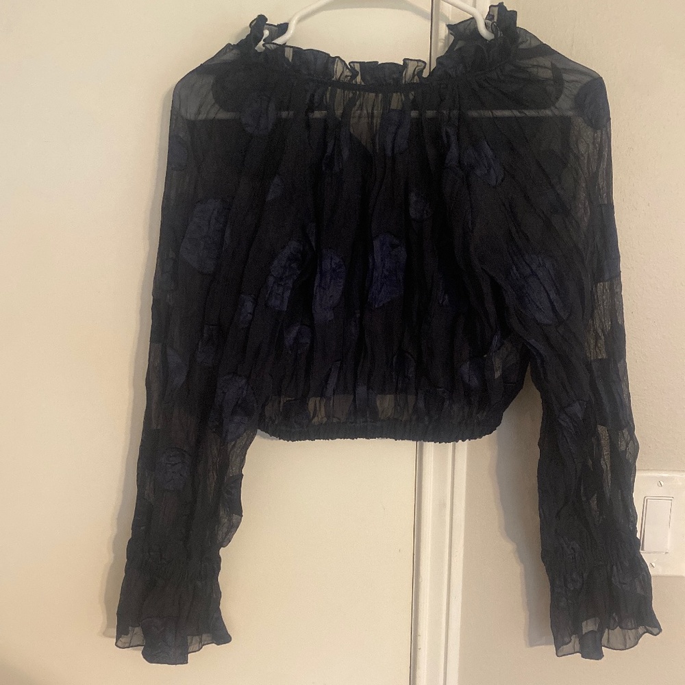 Zara Navy Sheer Crop Top